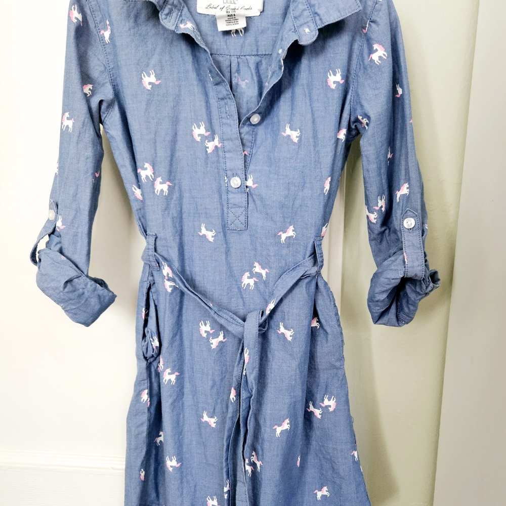 Blue Dress with Unicorn Print